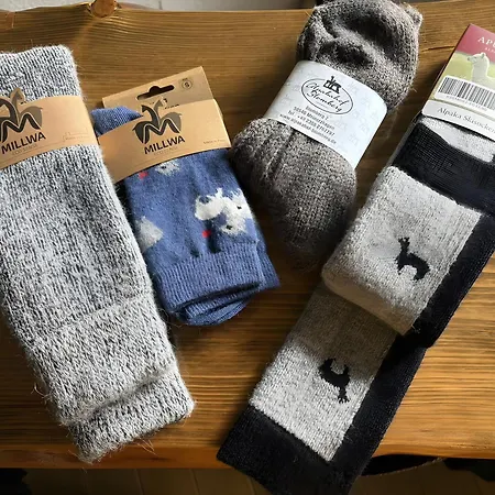 Alpakahof Blomberg * Meinerzhagen