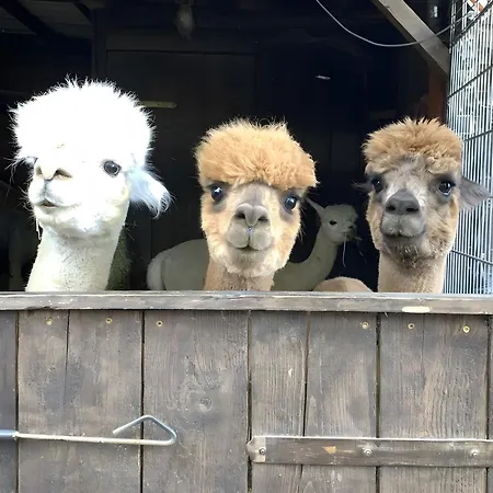 Apartment Alpakahof Blomberg *