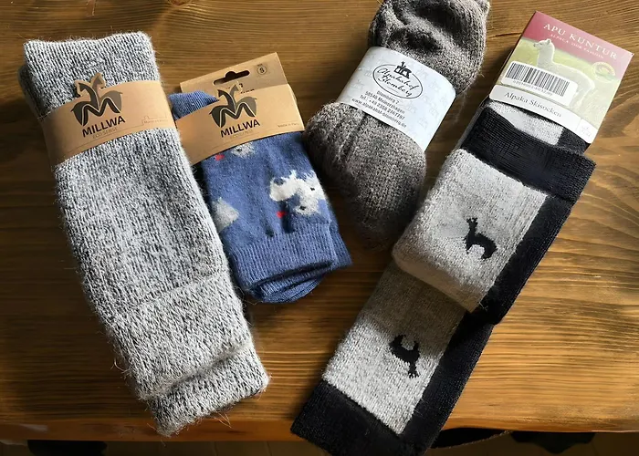 Alpakahof Blomberg * Meinerzhagen