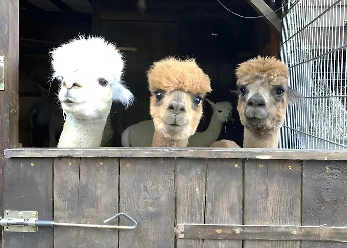 Appartamento Alpakahof Blomberg *